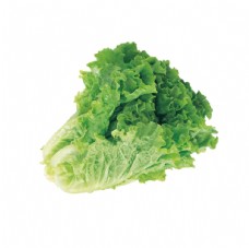 绿色蔬菜生菜