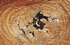 木纹 木纹肌理 树洞