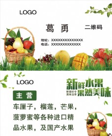 榴莲广告水果名片