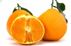 沃柑图片果冻橙