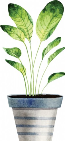 植物背景