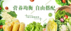 新鲜蔬菜蔬菜海报新鲜有机菜饭店
