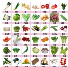 绿色蔬菜蔬菜素材