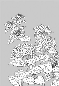 矢量花卉日本线描植物花卉矢量素材