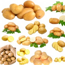 果蔬系列土豆