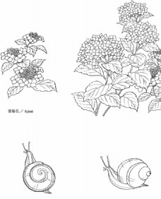 矢量花卉日本线描植物花卉矢量素材