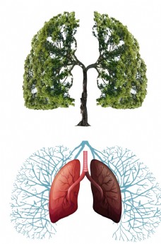 绿树绿色树木清新肺部肺部插画