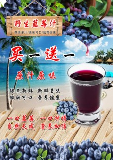 原汁原味野生蓝莓汁