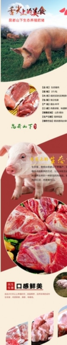 折扣海报猪肉详情