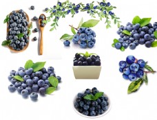 进口水果蓝莓素材