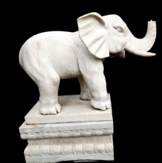 大象 白象 png素材 动物