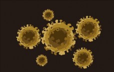 新型冠状病毒矢量图
