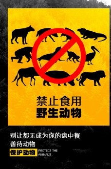 大自然禁止使用野生动物