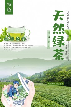 生产工具绿茶