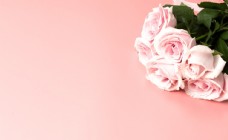 春季女装促销粉色玫瑰