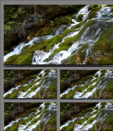 森林小溪流水视频素材