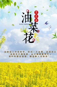 油菜花节春季旅游旅游海报
