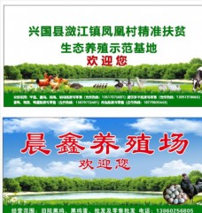 画册设计生态牧场养殖场养殖广告