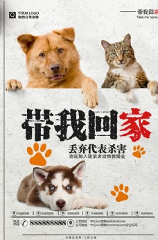 宠物医院流浪宠物领养海报