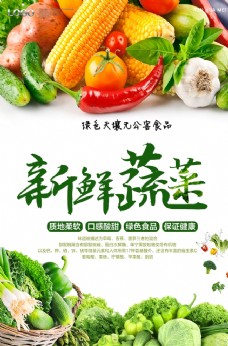 海鲜新鲜蔬菜海报设计蔬菜海报