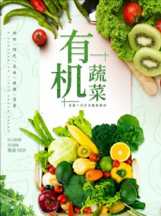 绿色蔬菜有机蔬菜
