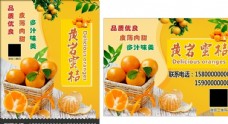 特写清爽橘子水果新鲜蜜桔