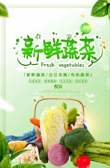 绿色蔬菜新鲜蔬菜当日采摘有机蔬菜