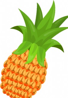 有机水果菠萝卡通菠萝
