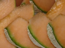 哈密瓜果园清甜的哈密瓜