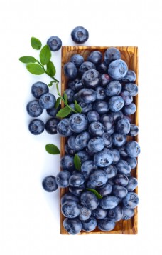 画册设计蓝莓