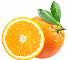樱桃展架橙子