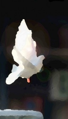 水粉抽象白鸽背景