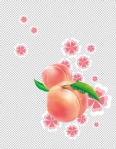 樱樱桃展架水果