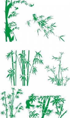 中国风设计竹子