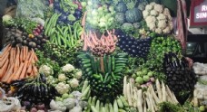 健康蔬菜蔬菜素食主义者素健康营