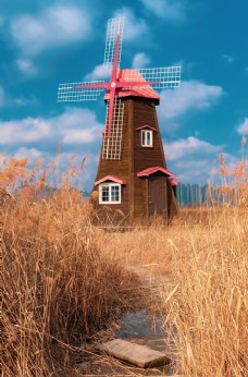荷兰的小风车