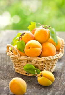 有机水果黄桃