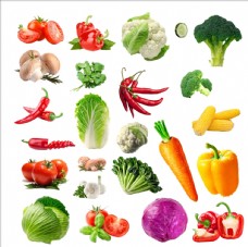 蔬菜有机素材辣椒青菜灯笼椒白菜