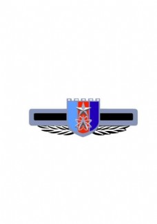 展板战略支援部队徽章