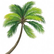树枝椰子树