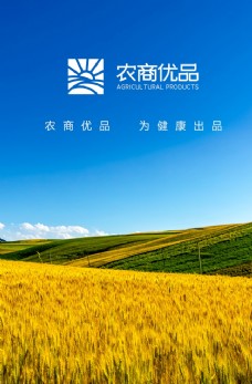农商优品小麦蓝天白云风景