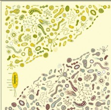 病毒细菌卡通图