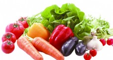 绿色蔬菜蔬菜组合