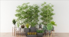 树木竹子与绿色花卉植物