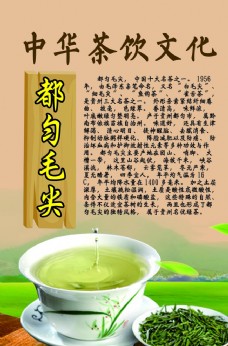 茶之文化中华茶饮文化之都匀毛尖