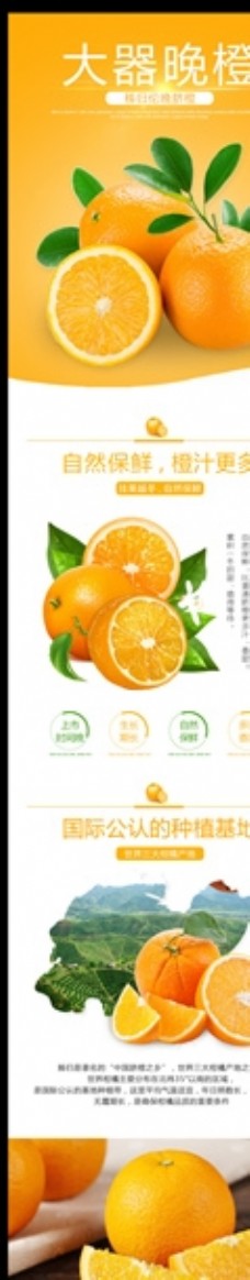 橙子详情页图片素材