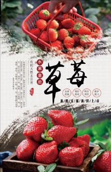 新鲜草莓采摘海报