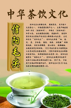 茶之文化中华茶饮文化之信阳毛尖