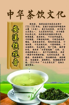 茶之文化中华茶饮文化之安溪铁观音
