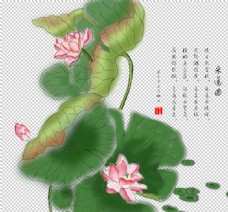 中国风荷叶荷花绘画